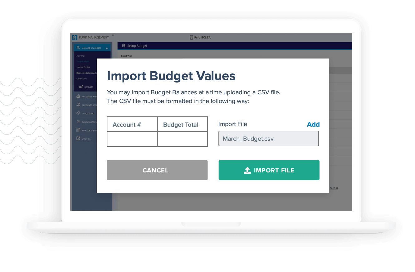 The import budget values window in LINQ accounting software.