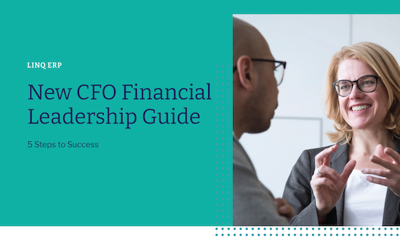 CFO Financial Leadership Guide