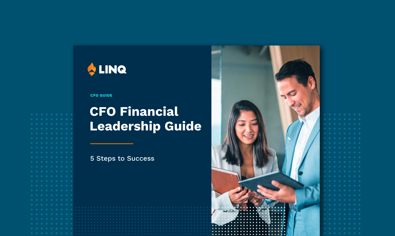 CFO Financial Leadership Guide