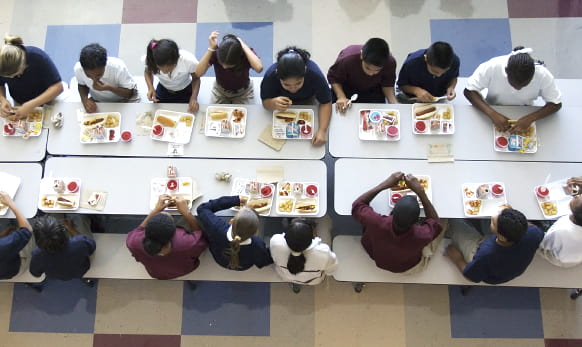 School cafeteria - growing nutrition program