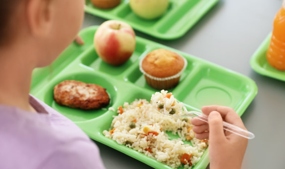 School lunchroom tray