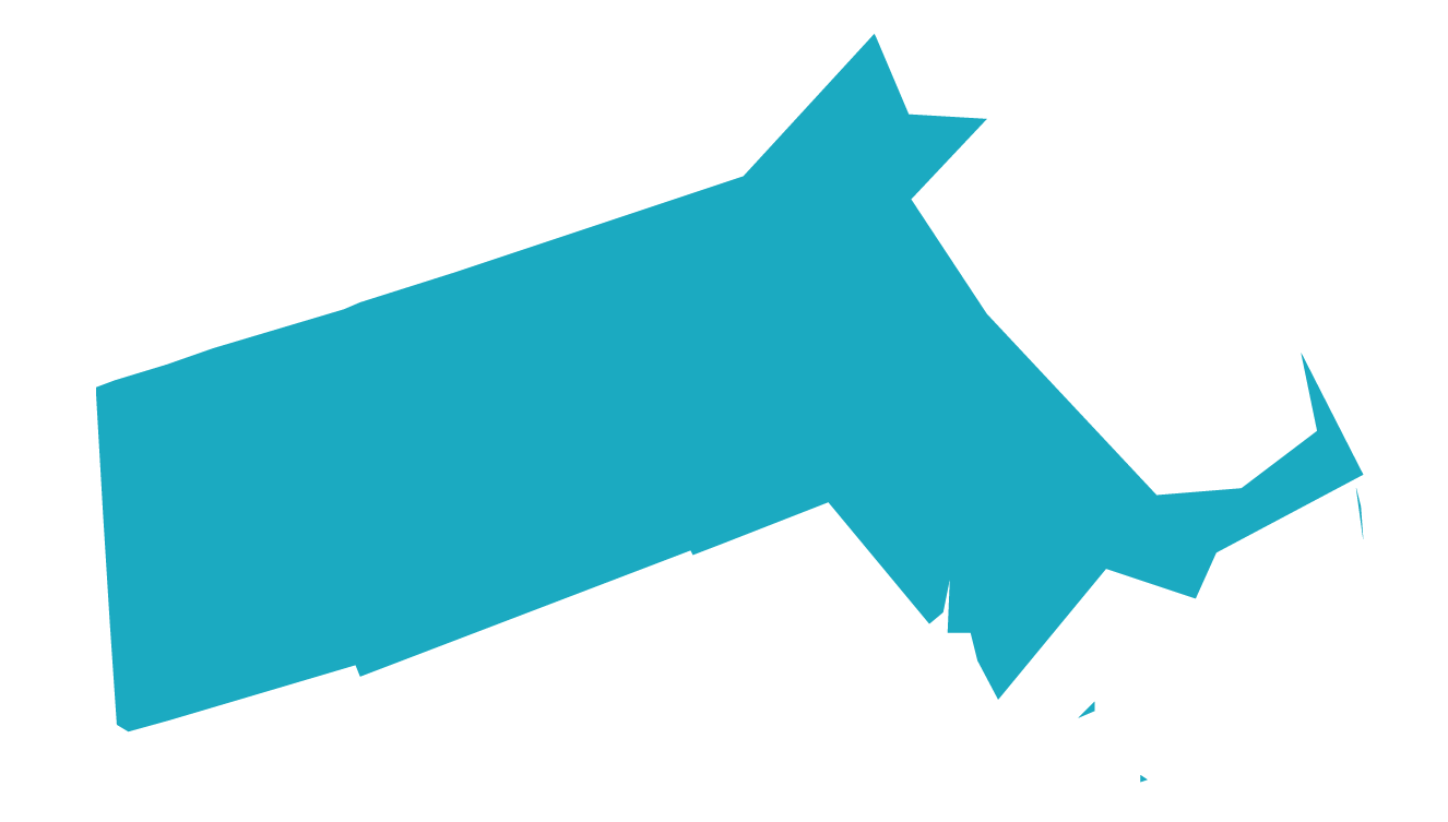 Massachusetts State Logo