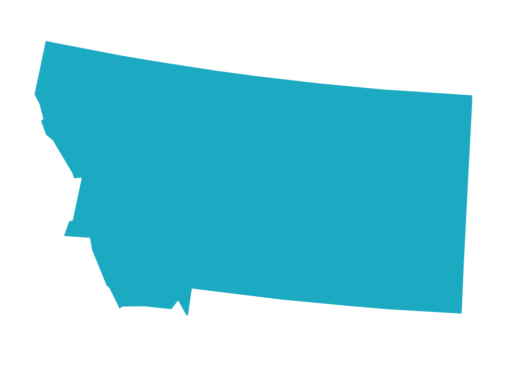 Montana State Logo
