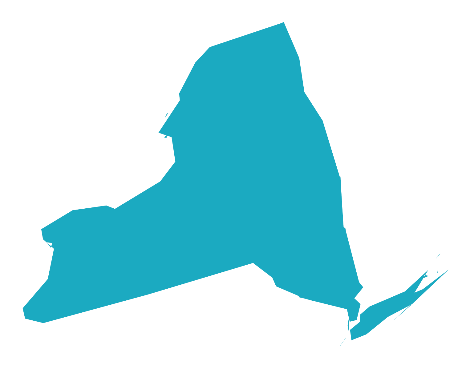 New York State Logo