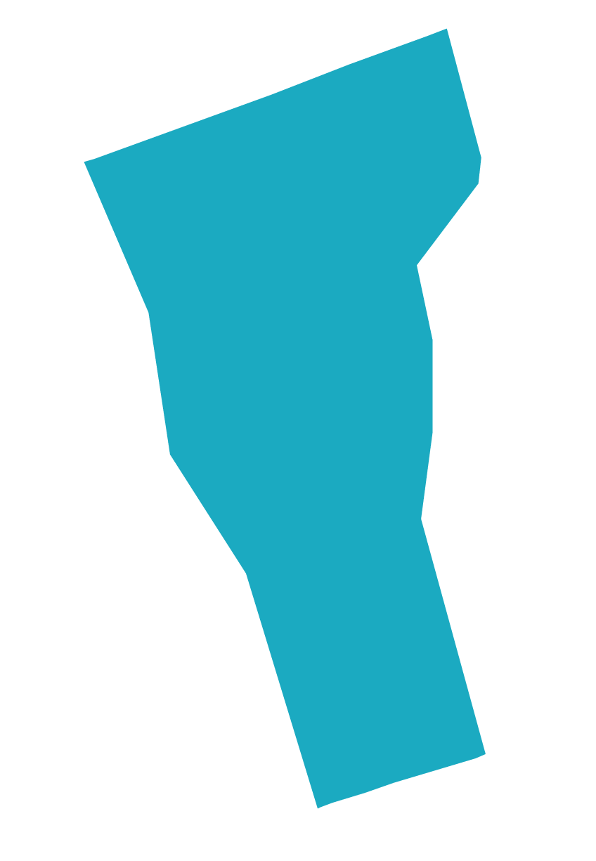 Vermont State Logo