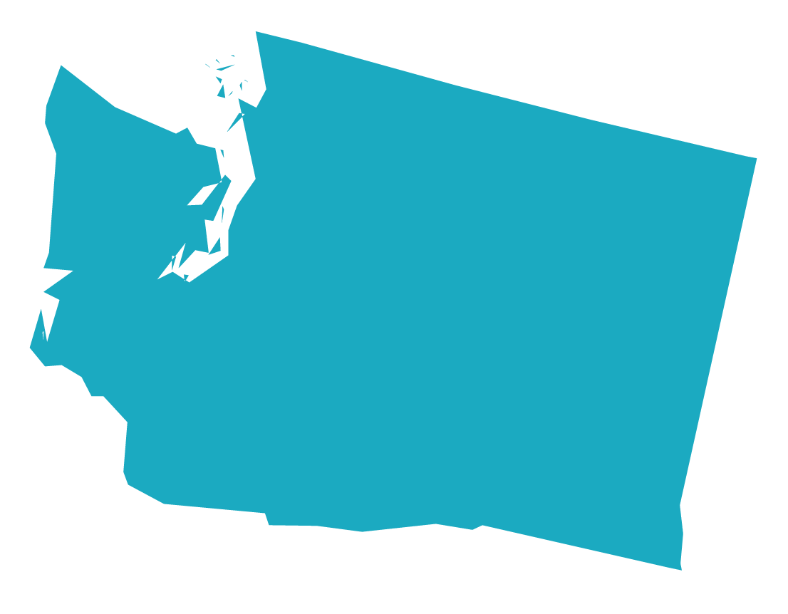 Washington State Logo