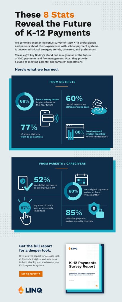 Payments Survey Report Infographic